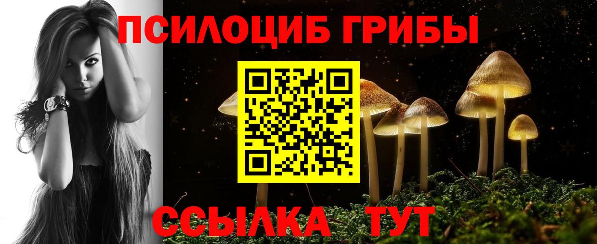Нижнекамск  Галлюциногенные грибы Cubensis  Вход с VPN 