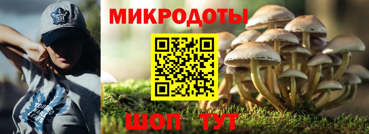 Галлюциногенные грибы Magic Shrooms Нижнекамск